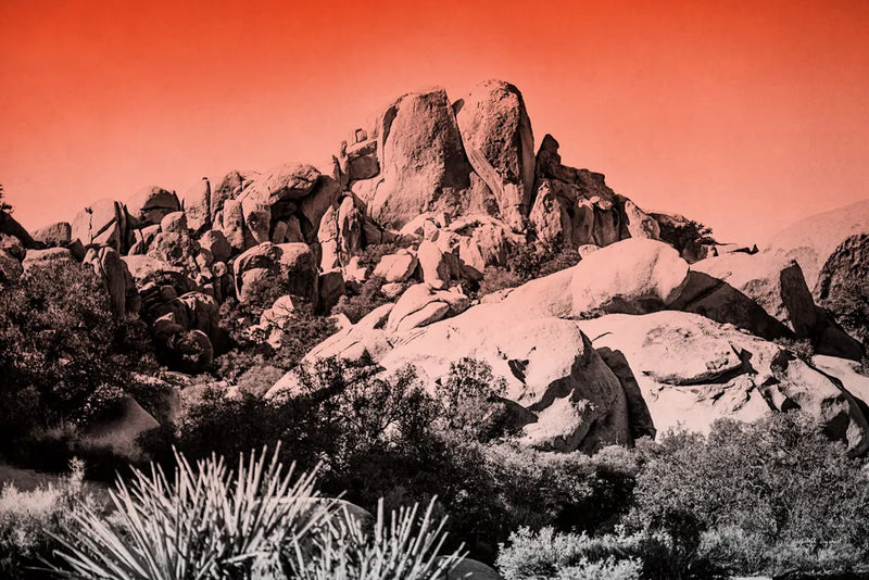 Ombre Adventure II by Elizabeth Urquhart. SKU 33209i. Archival Giclee Fine art print for wall decor.