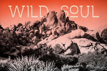 Ombre Adventure II Wild Soul by Elizabeth Urquhart. SKU 34483i. Archival Giclee Fine art print for wall decor.