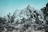 Ombre Adventure III by Elizabeth Urquhart. SKU 33210i. Archival Giclee Fine art print for wall decor.