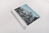 Ombre Adventure III by Elizabeth Urquhart. shown as a rolled paper print. Available as archival giclee rolled canvas, fine art paper, or poster print. SKU 33210i.