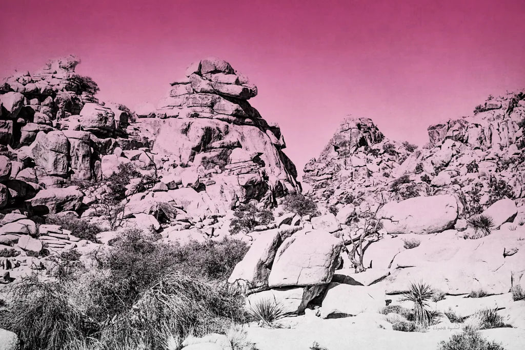 Ombre Adventure IV by Elizabeth Urquhart. SKU 33211i. Archival Giclee Fine art print for wall decor.