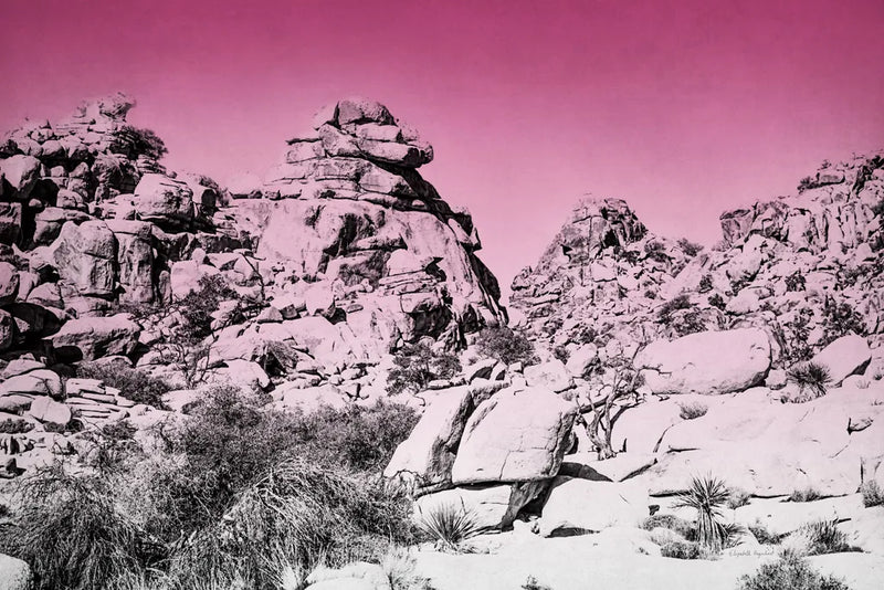 Ombre Adventure IV by Elizabeth Urquhart. SKU 33211i. Archival Giclee Fine art print for wall decor.