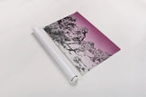 Ombre Adventure IV by Elizabeth Urquhart. shown as a rolled paper print. Available as archival giclee rolled canvas, fine art paper, or poster print. SKU 33211i.