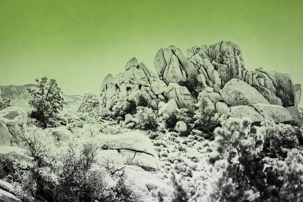 Ombre Adventure V by Elizabeth Urquhart. SKU 33212i. Archival Giclee Fine art print for wall decor.