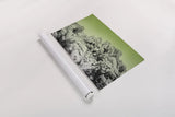 Ombre Adventure V by Elizabeth Urquhart. shown as a rolled paper print. Available as archival giclee rolled canvas, fine art paper, or poster print. SKU 33212i.