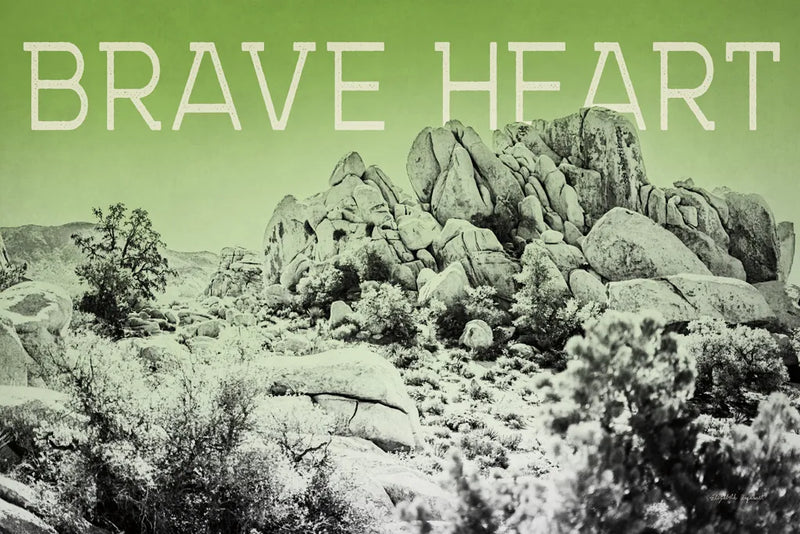 Ombre Adventure V Brave Heart by Elizabeth Urquhart. SKU 34486i. Archival Giclee Fine art print for wall decor.