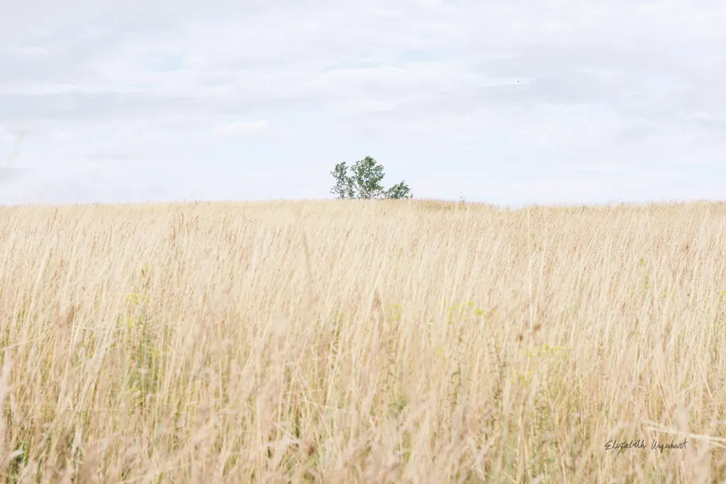 On the Edge I by Elizabeth Urquhart. SKU 74446i. Archival Giclee Fine art print for wall decor.