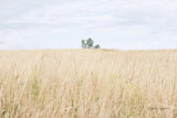 On the Edge I by Elizabeth Urquhart. SKU 74446i. Archival Giclee Fine art print for wall decor.