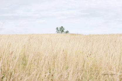 On the Edge I by Elizabeth Urquhart. SKU 74446i. Archival Giclee Fine art print for wall decor.