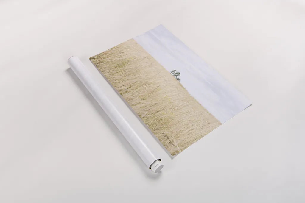 On the Edge I by Elizabeth Urquhart. shown as a rolled paper print. Available as archival giclee rolled canvas, fine art paper, or poster print. SKU 74446i.