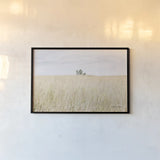 On the Edge I by Elizabeth Urquhart. shown as a paper print in a black flame. Available as a archival giclee rolled canvas, fine art paper, or poster print. SKU 74446i.