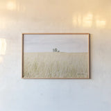On the Edge I by Elizabeth Urquhart. shown as a paper print in a natural frame. Available as a archival giclee rolled canvas, fine art paper, or poster print. SKU 74446i.