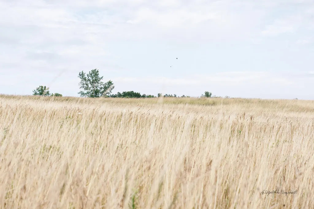 On the Edge II by Elizabeth Urquhart. SKU 74447i. Archival Giclee Fine art print for wall decor.