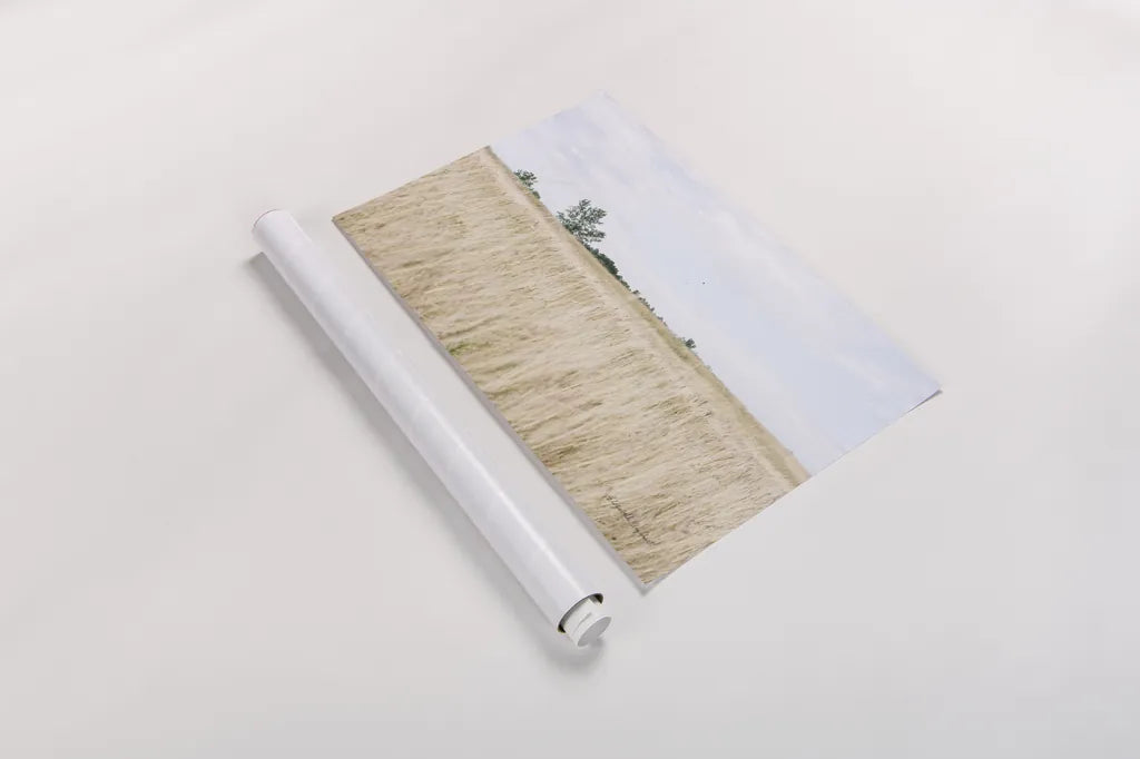 On the Edge II by Elizabeth Urquhart. shown as a rolled paper print. Available as archival giclee rolled canvas, fine art paper, or poster print. SKU 74447i.