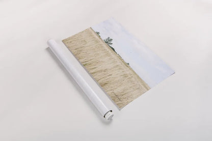 On the Edge II by Elizabeth Urquhart. shown as a rolled paper print. Available as archival giclee rolled canvas, fine art paper, or poster print. SKU 74447i.