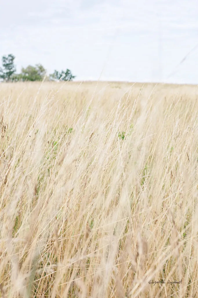 On the Edge III by Elizabeth Urquhart. SKU 74448h. Archival Giclee Fine art print for wall decor.