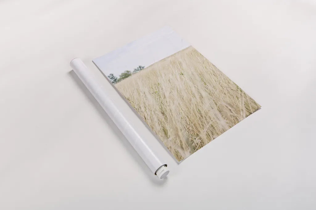 On the Edge III by Elizabeth Urquhart. shown as a rolled paper print. Available as archival giclee rolled canvas, fine art paper, or poster print. SKU 74448h.