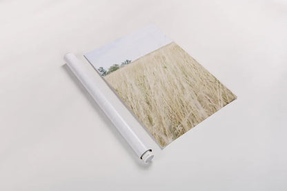 On the Edge III by Elizabeth Urquhart. shown as a rolled paper print. Available as archival giclee rolled canvas, fine art paper, or poster print. SKU 74448h.