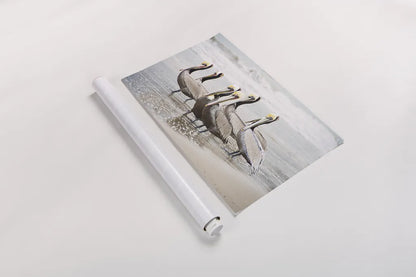 Pacific Cool IV by Elizabeth Urquhart. shown as a rolled paper print. Available as archival giclee rolled canvas, fine art paper, or poster print. SKU 25523i.