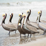 Pacific Cool IV Crop by Elizabeth Urquhart. SKU 25523a. Archival Giclee Fine art print for wall decor.