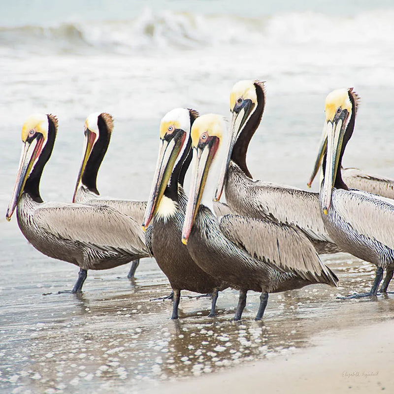 Pacific Cool IV Crop by Elizabeth Urquhart. SKU 25523a. Archival Giclee Fine art print for wall decor.