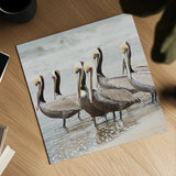 Pacific Cool IV Crop by Elizabeth Urquhart. Shown as a detailed flat fine art print, highlighting archival giclee quality. Available as an archival giclee rolled canvas, fine art paper, or poster print. SKU 25523a.