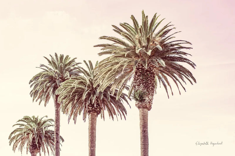 Pastel Palms by Elizabeth Urquhart. SKU 67332i. Archival Giclee Fine art print for wall decor.