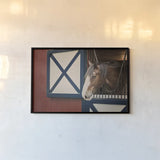 Patriotic Pony I by Elizabeth Urquhart. shown as a paper print in a black flame. Available as a archival giclee rolled canvas, fine art paper, or poster print. SKU 23780i.