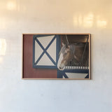 Patriotic Pony I by Elizabeth Urquhart. shown as a paper print in a natural frame. Available as a archival giclee rolled canvas, fine art paper, or poster print. SKU 23780i.