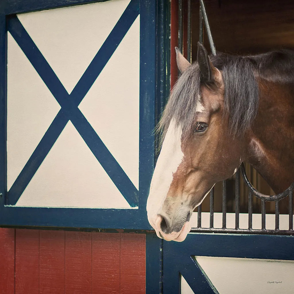 Patriotic Pony I Crop by Elizabeth Urquhart. SKU 23780a. Archival Giclee Fine art print for wall decor.