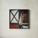 Patriotic Pony I Crop by Elizabeth Urquhart. Shown in a sleek black glass frame for a contemporary gallery look. Available as an archival giclee rolled canvas, fine art paper, or poster print. SKU 23780a.