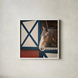 Patriotic Pony I Crop by Elizabeth Urquhart. Shown in a crisp white glass frame for a clean and minimalist style. Available as an archival giclee rolled canvas, fine art paper, or poster print. SKU 23780a.