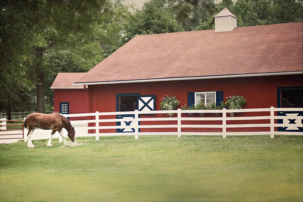 Patriotic Pony II by Elizabeth Urquhart. SKU 23781i. Archival Giclee Fine art print for wall decor.