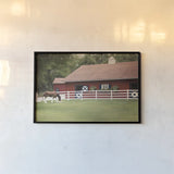 Patriotic Pony II by Elizabeth Urquhart. shown as a paper print in a black flame. Available as a archival giclee rolled canvas, fine art paper, or poster print. SKU 23781i.