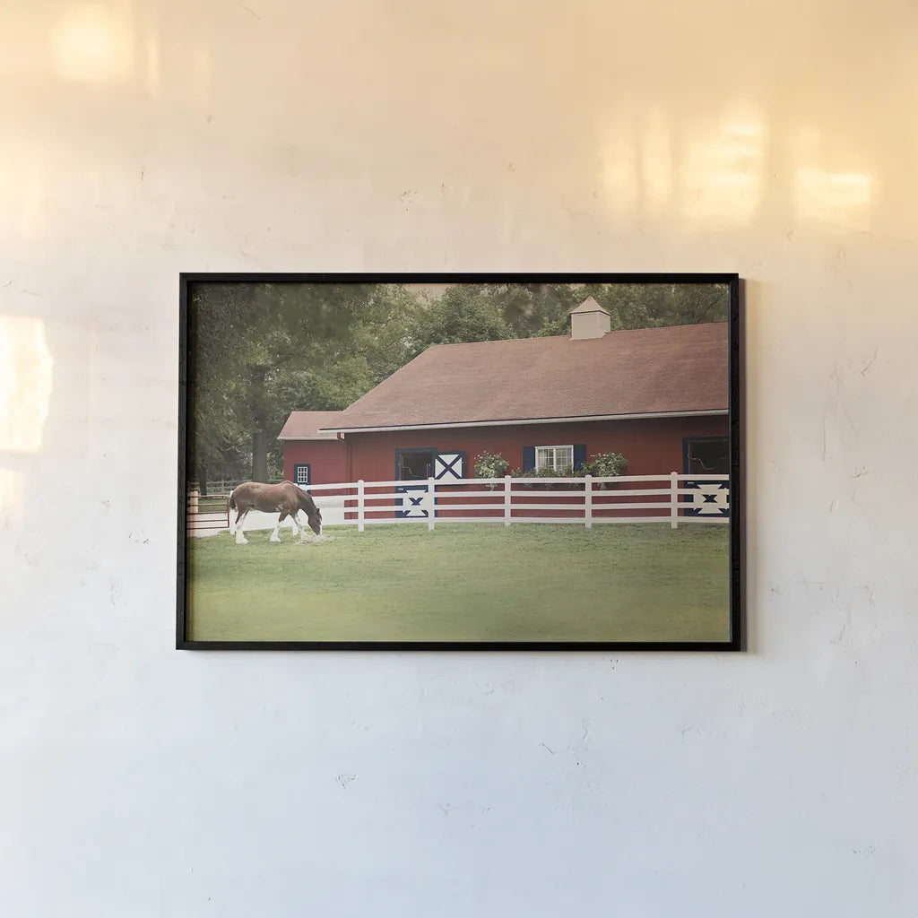 Patriotic Pony II by Elizabeth Urquhart. shown as a paper print in a black flame. Available as a archival giclee rolled canvas, fine art paper, or poster print. SKU 23781i.