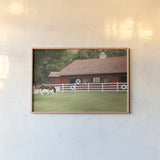Patriotic Pony II by Elizabeth Urquhart. shown as a paper print in a natural frame. Available as a archival giclee rolled canvas, fine art paper, or poster print. SKU 23781i.