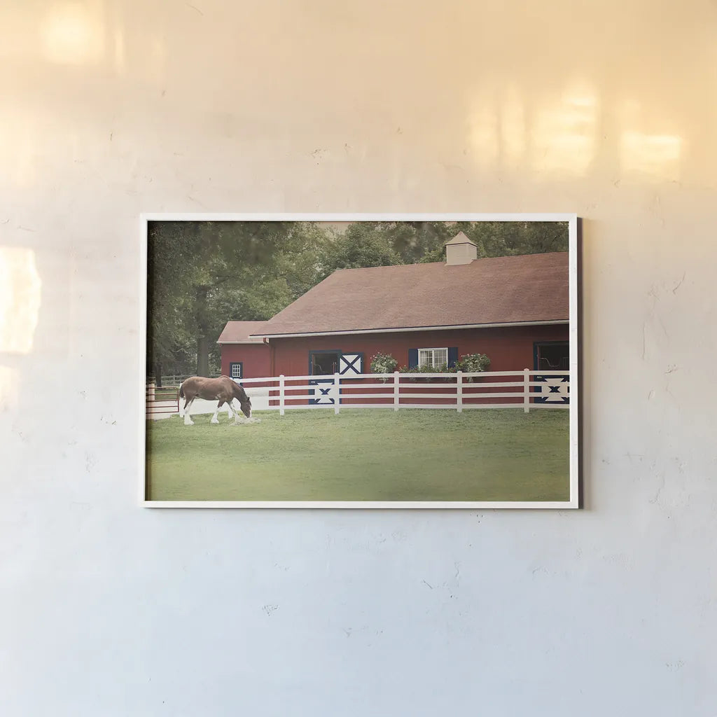 Patriotic Pony II by Elizabeth Urquhart. shown as a paper print in a white frame. Available as a archival giclee rolled canvas, fine art paper, or poster print. SKU 23781i.