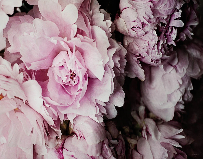 Peonies Galore I by Elizabeth Urquhart