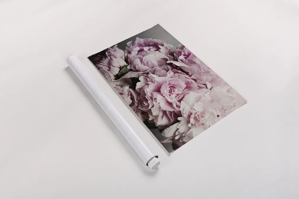 Peonies Galore II by Elizabeth Urquhart. shown as a rolled paper print. Available as archival giclee rolled canvas, fine art paper, or poster print. SKU 22332i.