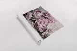 Peonies Galore II by Elizabeth Urquhart. shown as a rolled paper print. Available as archival giclee rolled canvas, fine art paper, or poster print. SKU 22332i.