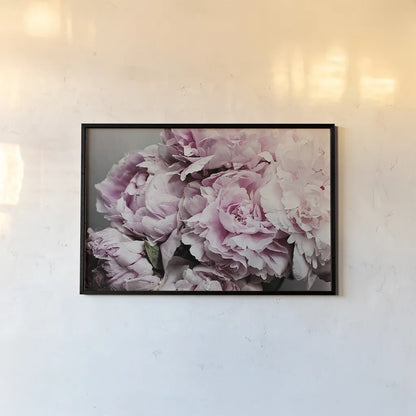 Peonies Galore II by Elizabeth Urquhart. shown as a paper print in a black flame. Available as a archival giclee rolled canvas, fine art paper, or poster print. SKU 22332i.