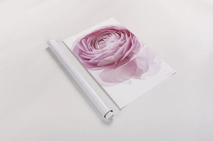 Pink Lady I Crop by Elizabeth Urquhart. shown as a rolled paper print. Available as archival giclee rolled canvas, fine art paper, or poster print. SKU 33334h.