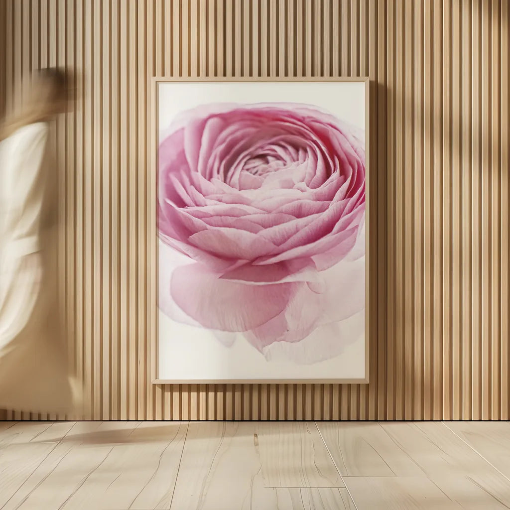 Pink Lady I Crop by Elizabeth Urquhart. shown as over sized large wall art. Available as an archival giclee rolled canvas, fine art paper, or poster print. SKU 33334h.