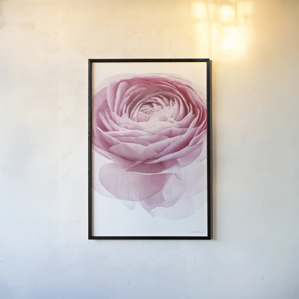 Pink Lady I Crop by Elizabeth Urquhart. shown as a paper print in a black flame. Available as a archival giclee rolled canvas, fine art paper, or poster print. SKU 33334h.