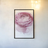 Pink Lady I Crop by Elizabeth Urquhart. shown as a paper print in a black flame. Available as a archival giclee rolled canvas, fine art paper, or poster print. SKU 33334h.