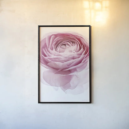 Pink Lady I Crop by Elizabeth Urquhart. shown as a paper print in a black flame. Available as a archival giclee rolled canvas, fine art paper, or poster print. SKU 33334h.