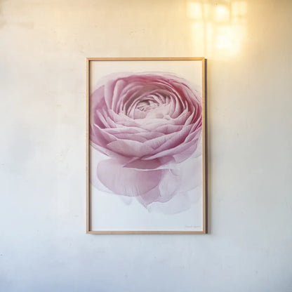 Pink Lady I Crop by Elizabeth Urquhart. shown as a paper print in a natural frame. Available as a archival giclee rolled canvas, fine art paper, or poster print. SKU 33334h.