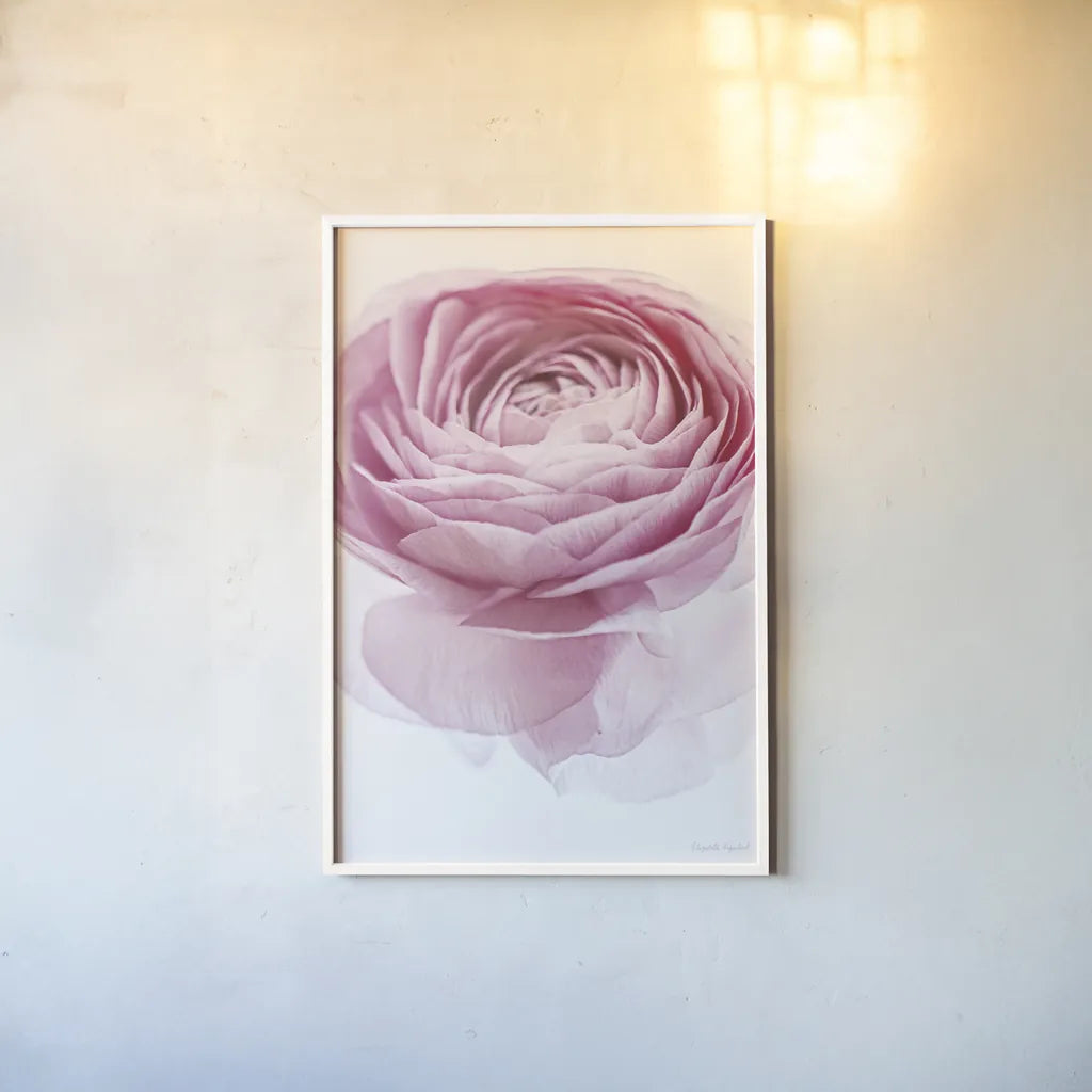 Pink Lady I Crop by Elizabeth Urquhart. shown as a paper print in a white frame. Available as a archival giclee rolled canvas, fine art paper, or poster print. SKU 33334h.