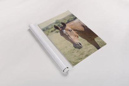 Polo Pony II by Elizabeth Urquhart. shown as a rolled paper print. Available as archival giclee rolled canvas, fine art paper, or poster print. SKU 30340h.