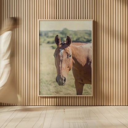 Polo Pony II by Elizabeth Urquhart. shown as over sized large wall art. Available as an archival giclee rolled canvas, fine art paper, or poster print. SKU 30340h.